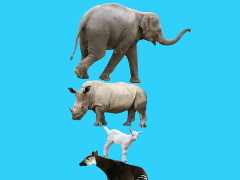 動物を積み上げてタワーを作ろう。誰もがハマるカジュアルゲーム「どうぶつタワー」を紹介する「(ほぼ)日刊スマホゲーム通信」第1592回