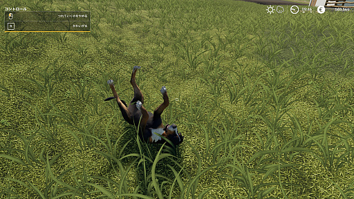  No.031Υͥ / Farming Simulator 19ץץ쥤ݡȡˡƼ֤ݤڤǤߤ褦