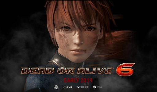 画像集 No.002のサムネイル画像 / 「DEAD OR ALIVE 6」プロデューサー兼ディレクター，新堀洋平氏にEVO2018会場でインタビュー。現在の開発状況は「20％前後」