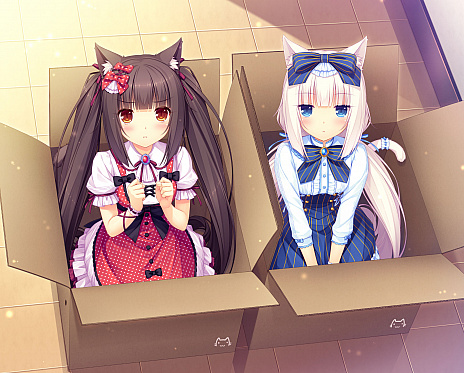 画像集 No.006のサムネイル画像 / PS4版「ネコぱらVol.1 ソレイユ開店しました！」が配信開始。ゲーム内容を紹介する公式サイトも公開に
