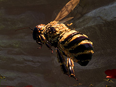 小さな体で大きな世界を生き抜く蜂(ハチ)シミュレーションゲーム「Bee Simulator」の最新トレイラーが公開