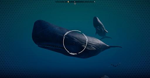 画像集#007のサムネイル/世界海洋デーに合わせたリリースが決まったアドベンチャーゲーム，「Beyond Blue」のプレイを紹介するトレイラー公開