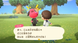 画像集#008のサムネイル/いよいよ明日発売「あつまれ どうぶつの森」を先行プレイ。自由度の高い島生活を1週間だけ体験してみた