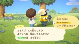 画像集#010のサムネイル/いよいよ明日発売「あつまれ どうぶつの森」を先行プレイ。自由度の高い島生活を1週間だけ体験してみた
