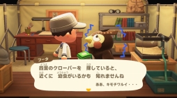 画像集#035のサムネイル/いよいよ明日発売「あつまれ どうぶつの森」を先行プレイ。自由度の高い島生活を1週間だけ体験してみた