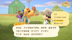 画像集#062のサムネイル/いよいよ明日発売「あつまれ どうぶつの森」を先行プレイ。自由度の高い島生活を1週間だけ体験してみた