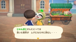 画像集#023のサムネイル/「あつまれ どうぶつの森」最新アップデートで,つねきちが島にやってくる。いなりマーケットやレイジの園芸店,開催予定の季節イベントを紹介