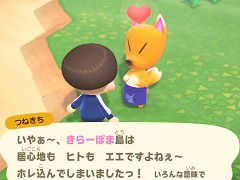 「あつまれ どうぶつの森」最新アップデートで,つねきちが島にやってくる。いなりマーケットやレイジの園芸店,開催予定の季節イベントを紹介