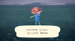 画像集#014のサムネイル/「あつまれ どうぶつの森」で海開き! 島の周囲の海を泳げる新バージョンで海水浴を楽しんだ