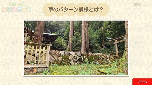 画像集#030のサムネイル/［CEDEC 2020］「あつまれ　どうぶつの森」のアートができるまで。語りすぎない日常の画面はこうして作られた