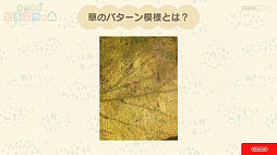 画像集#031のサムネイル/［CEDEC 2020］「あつまれ　どうぶつの森」のアートができるまで。語りすぎない日常の画面はこうして作られた