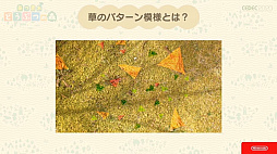 画像集#032のサムネイル/［CEDEC 2020］「あつまれ　どうぶつの森」のアートができるまで。語りすぎない日常の画面はこうして作られた