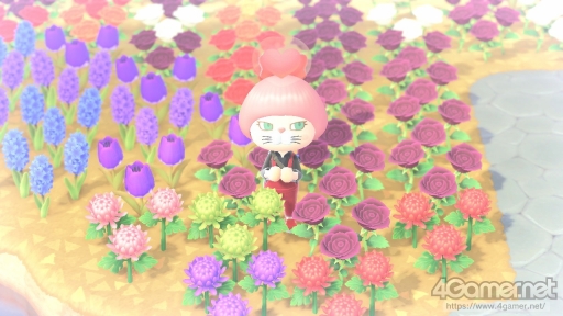 画像集#048のサムネイル/「あつまれ どうぶつの森」で始まる新しい暮らし。料理に仕事,喫茶店……アップデート&新コンテンツ体験記をたっぷりの写真とともにお届け