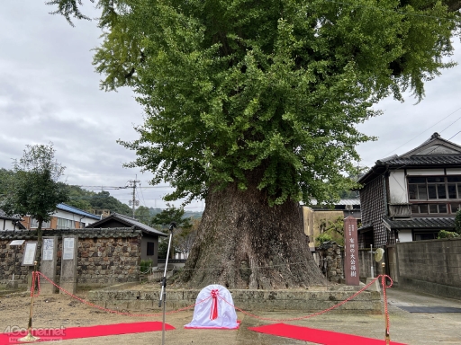 画像ギャラリー No.007のサムネイル画像 / 河津秋敏氏たちと巡る「ロマンシング佐賀2025」同行記(後編)。旅の最後に待っていたもの――それは最終決戦ではなく,終わりなき冒険の始まり