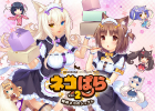 ネコぱら Vol.2 姉妹ネコのシュクレ