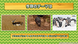 画像集 No.002のサムネイル画像 / バトルパートや「セルリアンたいじ」などゲームシステムが公開に。スマホ＆AC向け新作「けものフレンズ3」の公式生放送で発表された最新情報をお届け