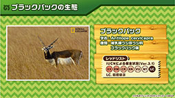 画像集 No.003のサムネイル画像 / バトルパートや「セルリアンたいじ」などゲームシステムが公開に。スマホ＆AC向け新作「けものフレンズ3」の公式生放送で発表された最新情報をお届け