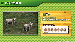画像集 No.012のサムネイル画像 / アプリ版「けもフレ3」に登場する「タイリクオオカミ」「ヒツジ」の詳細や,アニメ「ちょこけも」の新章が公開に。公式生放送で発表された最新情報を一挙掲載