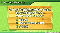 画像集 No.013のサムネイル画像 / 「けもフレ3」にアルパカ・ワカイヤ,オオタカが登場。アニメ「ちょこけも」の最新話も公開された公式生放送の模様をレポート
