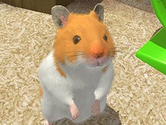 3Dグラフィックスで描かれたハムスターを飼育できるアプリ「なまはむ」が今春リリース予定。事前登録の受付も開始に