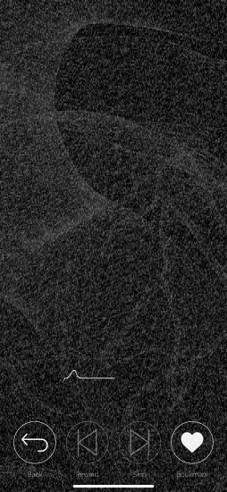  No.004Υͥ / ¡򰮤餵줿Ȥޤ̲ϥΤ 1롧֥󥾥ץפϤ٤Ƥ