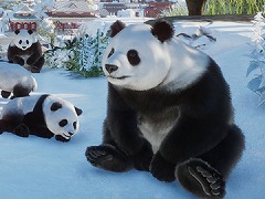 リアルに描かれた動物の観察も楽しめる動物園経営シム「Planet Zoo」が発売。最新トレイラーも公開に