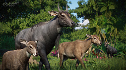꡼ No.003Υͥ / ưʪбĥ֥ץͥå סۥɥ̥顼ƥʤɥ©7ưʪäAsia Animal Packפۿ