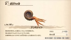 画像集 No.043のサムネイル画像 / 「釣りスピリッツ Nintendo Switchバージョン」の最新情報が公開。3つのゲームモードや新ステージ,やりこみ要素が明らかに