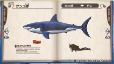 画像集 No.044のサムネイル画像 / 「釣りスピリッツ Nintendo Switchバージョン」の最新情報が公開。3つのゲームモードや新ステージ,やりこみ要素が明らかに