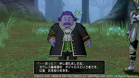 画像集#010のサムネイル/「ドラゴンクエストX いばらの巫女と滅びの神 オンライン」,最新アップデート「バージョン5.1」の新情報公開。冒険は,魔界のさらなる奥地へと続いていく