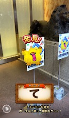 ꡼ No.038Υͥ / 5֥ɥ饴󥯥ȥ󥰡̡ס֥ɥ饴󥯥ȥפץݡȡ椬DQפǺ̤줿4֡󳫺ȯɽ