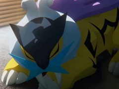 「ポケモンスリープ」でライコウの寝姿を見てみよう。ライコウリサーチイベントが2024年3月末にスタート