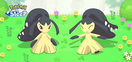 ꡼ No.002Υͥ / Pokmon Sleepסȥǥꡪ vol.1ɤ69鳫šݥ֥ȡפо