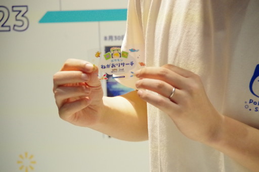 ꡼ No.015Υͥ / Ĺ3mε祫ӥ󤬽иëؼդPokmon Sleep 2nd Anniversary ëǤߤäݥͤꥵ׳