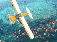 PC版「Microsoft Flight Simulator」が本日リリース。シリーズ最新作は地球全体を3D地形モデルとして再現