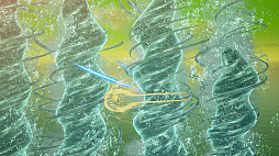 ���������꡼ No.004�Υ���ͥ������ / �֥ɥ饴��ܡ���Z KAKAROT�ס��ǿ�DLC��-DAIMA- �⳦���������� PART2�פ���Ʈ������˥ե��������������������