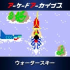 アーケードアーカイブス ウォータースキー