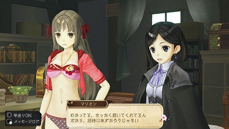 画像集 No.012のサムネイル画像 / 「アトリエ 〜黄昏の錬金術士 トリロジー〜 DX」に収録される,黄昏三部作の各種追加コンテンツに関する情報が公開