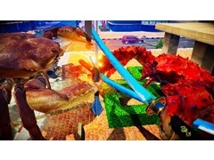 Steam版「カニノケンカ -Fight Crab-」が本日配信スタート。カニを操作しカニと戦う3D対戦アクションゲーム