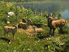 「Natural Instincts」のクローズドβテスター受付中。動物達の暮らす自然環境を保護しよう