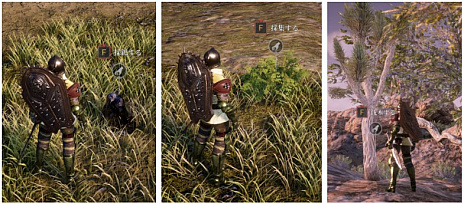 画像集#003のサムネイル/MMORPG「BLESS UNLEASHED」のコンテンツガイド“巨大な採集物”の動画が公開