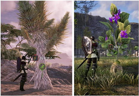 画像集#004のサムネイル/MMORPG「BLESS UNLEASHED」のコンテンツガイド“巨大な採集物”の動画が公開