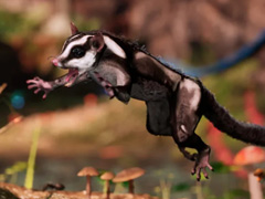 モモンガが主人公の「Away: The Survival Series」。ゲームを紹介する10分超えのゲームプレイトレイラーが公開