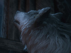 米津玄師さんが歌う「FF16」の主題歌「月を見ていた」,スペシャルムービーが公開に。米津さんと吉田直樹氏との対談動画後編も公開中