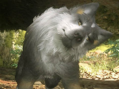 復讐劇の相棒がこんなにカワイくていいの!? 「FINAL FANTASY XVI」クライヴの頼れる愛狼“トルガル”のとことん写真集!