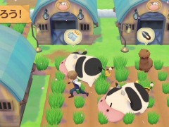 「牧場物語 オリーブタウンと希望の大地」のプロモーション映像が公開。恋愛候補のビジュアルも収録