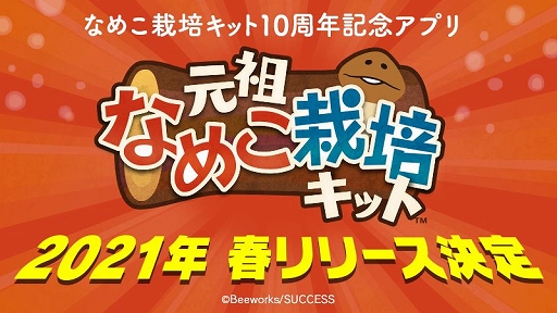 画像集#003のサムネイル/「元祖なめこ栽培キット」が今春配信予定