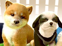 スマホ向けペット育成SLG「with My DOG - 犬とくらそう -」,2月15日より配信。190種類以上の子犬たちが登場