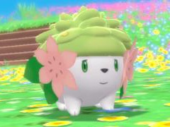 「ポケットモンスター BD・SP」,幻のポケモン“シェイミ”を仲間にできる“オーキドのてがみ”のプレゼントが本日スタート。期間は3月27日まで