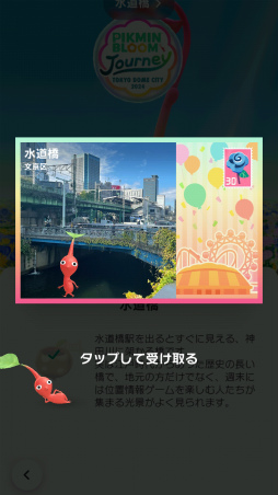  No.003Υͥ / Pikmin Bloom Journey 2024 : ɡॷƥθݡȡ٥Ȥ˹᤿ۤʹåե󥿥ӥ塼⤪Ϥ
